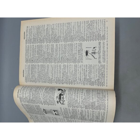 Websters New Universal Unabridged Dictionary Deluxe 2nd Edition hardcover book - Picture 12 of 16